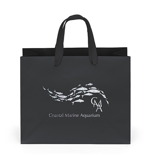 Paris Paper Bag custom printed paper bag - view 4 - Graphink Miami