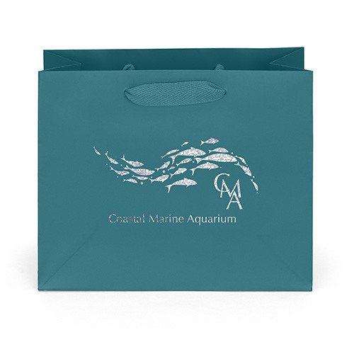 Paris Paper Bag in Teal - custom printed bag - Graphink Miami