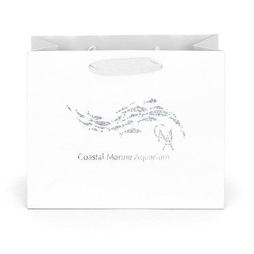 Paris Paper Bag in White - custom printed bag - Graphink Miami