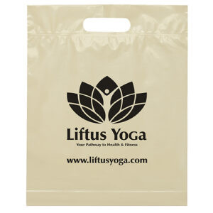 Die Cut Handle Bag 12x15x3 custom printed plastic bag - Graphink Miami